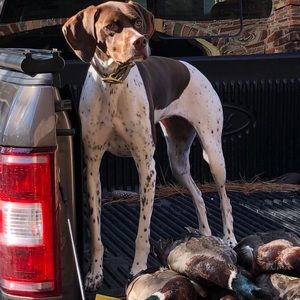 Meet your Posher, Steven